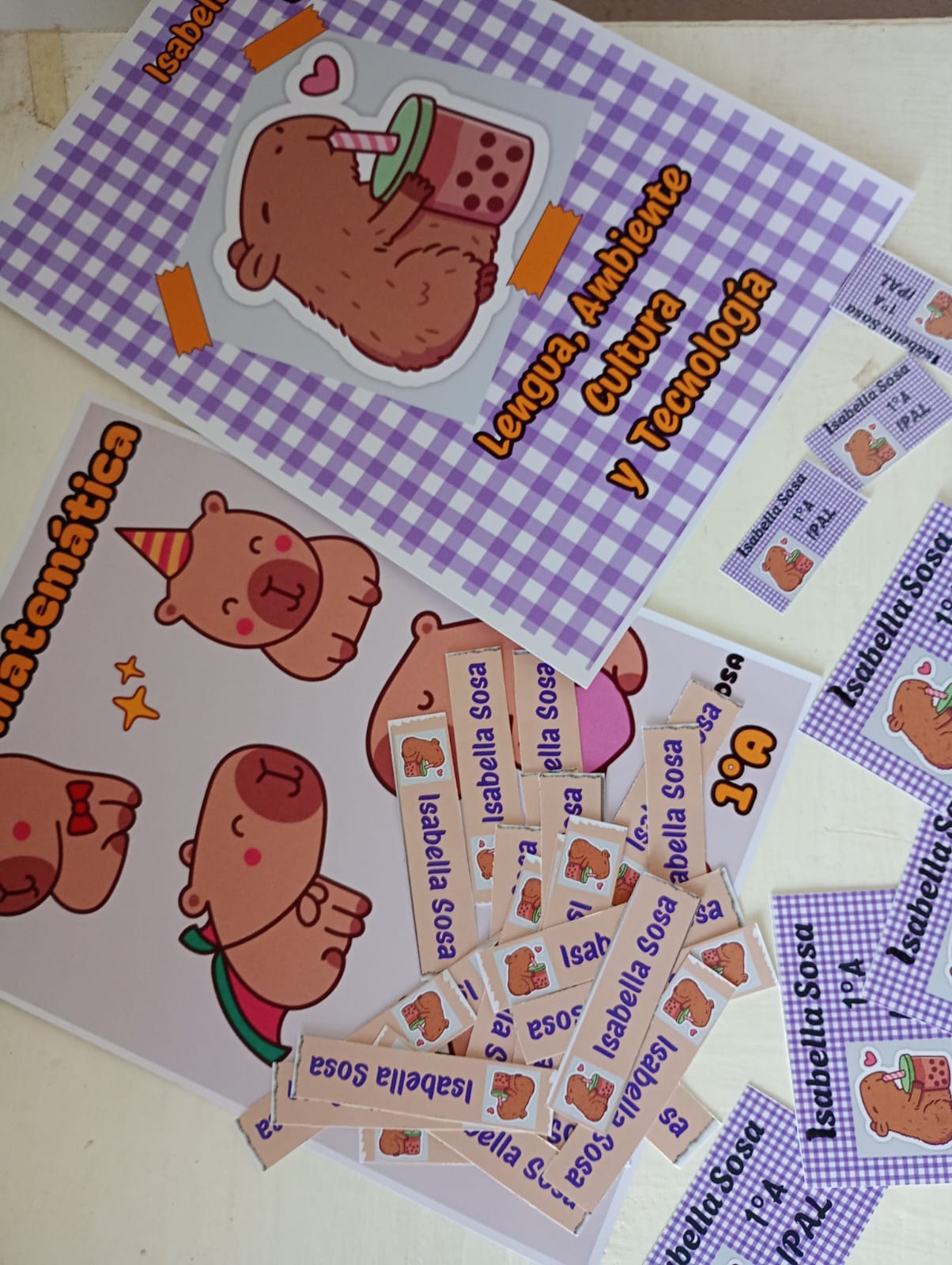 Kit Etiquetas escolares capibara